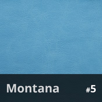 Montana 58